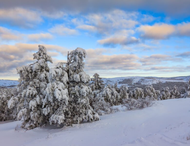 Śladami śnieżnych przygód – zimowa rozrywka w okolicach Świeradowa-Zdroju